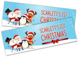 Personalised Banner Christmas Design Party Decoration 11