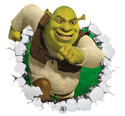 Shrek Wall Decal 3D Art Stickers Vinyl Room Bedroom Mural Kids Nursery 