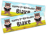 Personalised Birthday Banners Generic Design Children Kids Party Decoration 166