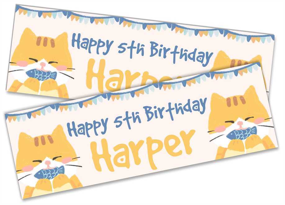 Personalised Birthday Banners Generic Design Children Kids Party Decoration 45