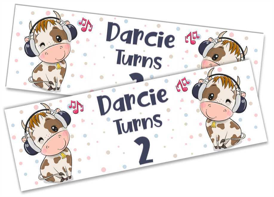 Personalised Birthday Banners Generic Design Children Kids Party Decoration 186