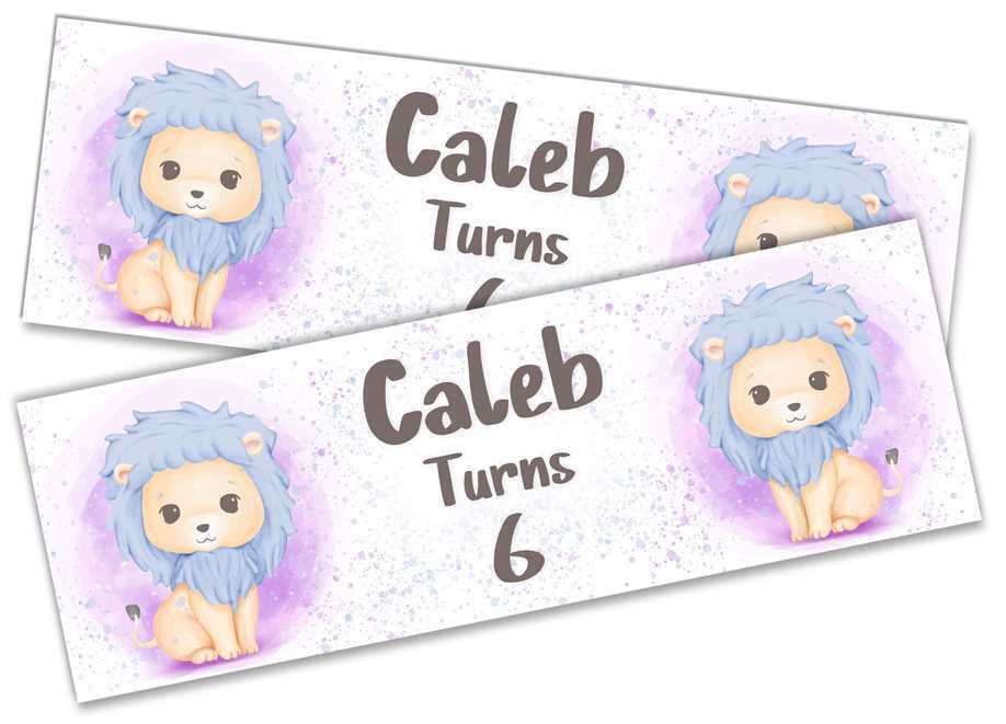 Personalised Birthday Banners Generic Design Children Kids Party Decoration 183