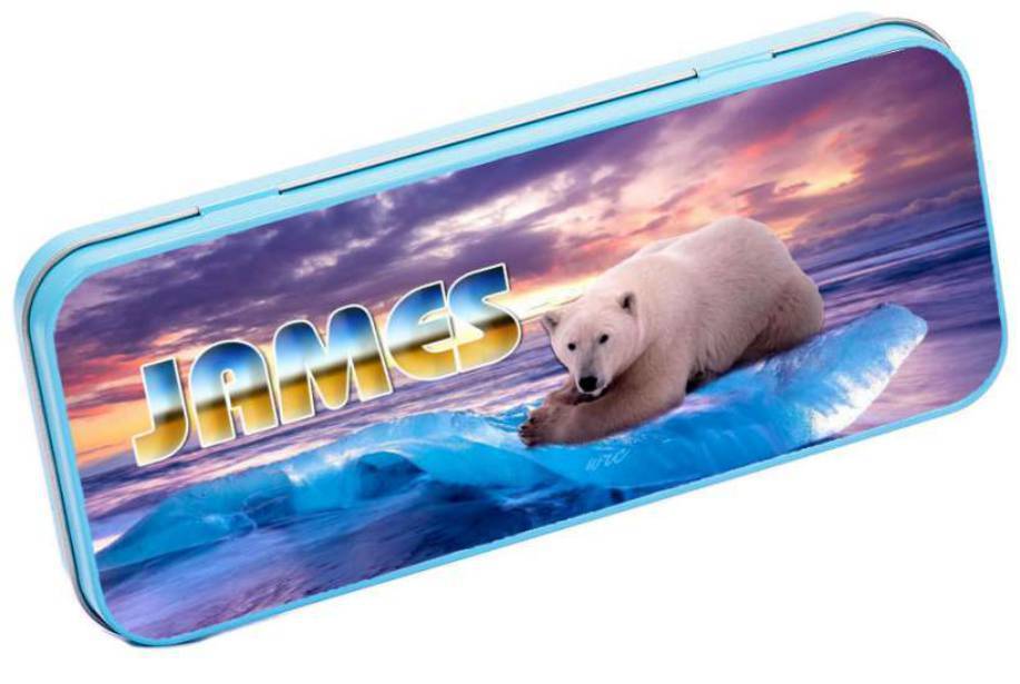 Personalised Any Name Animal Pencil Case Tin Children School Kids Stationary 4