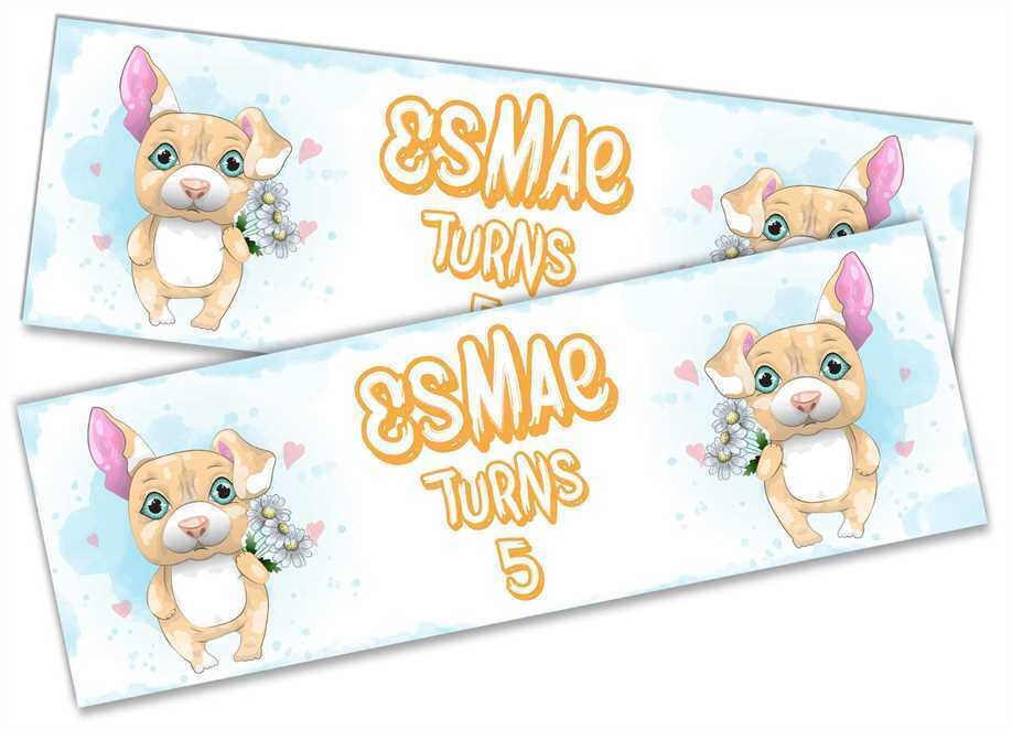 Personalised Birthday Banners Generic Design Children Kids Party Decoration 190