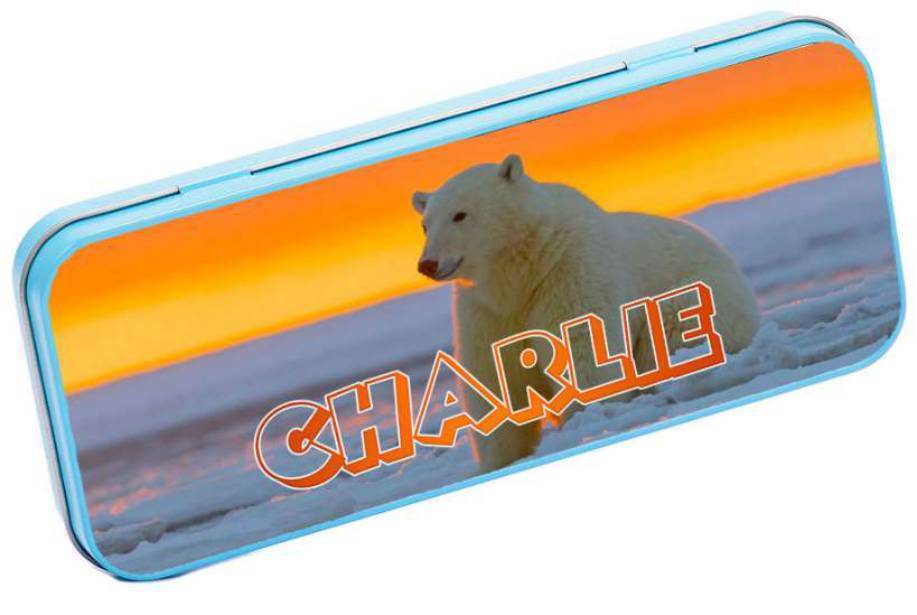 Personalised Any Name Animal Pencil Case Tin Children School Kids Stationary 4