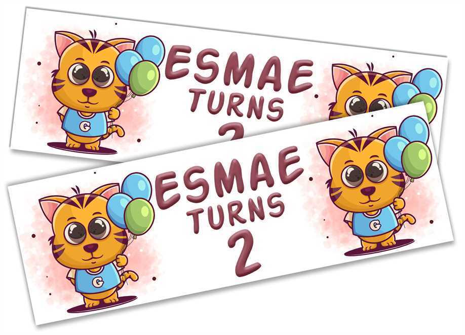 Personalised Birthday Banners Generic Design Children Kids Party Decoration 190