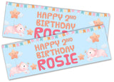 Personalised Birthday Banners Generic Design Children Kids Party Decoration 119