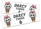 Personalised Birthday Banners Generic Design Children Kids Party Decoration 186