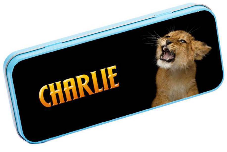 Personalised Any Name Animal Pencil Case Tin Children School Kids Stationary 4