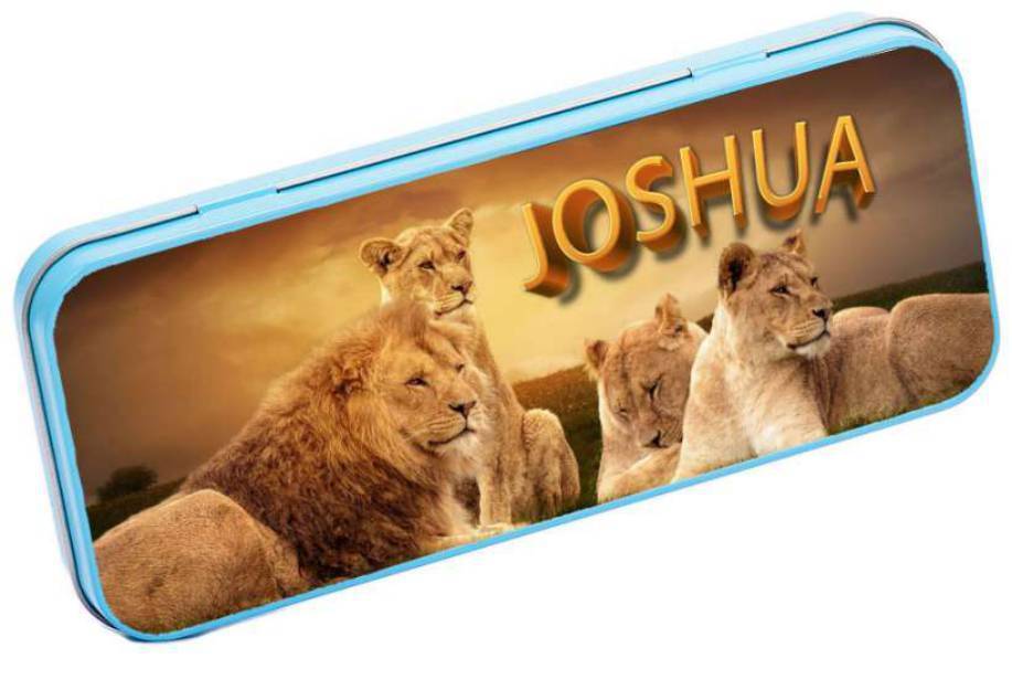 Personalised Any Name Animal Pencil Case Tin Children School Kids Stationary 4