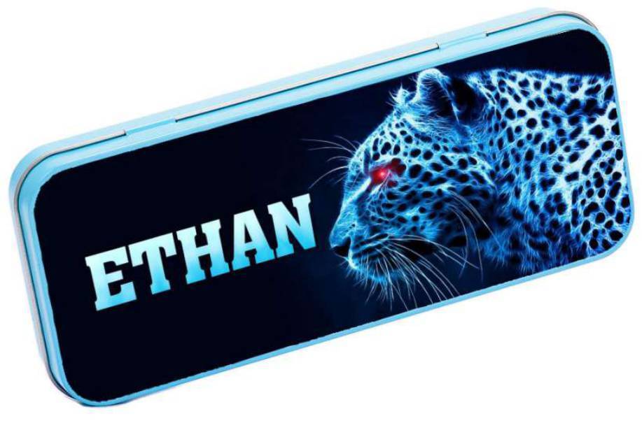 Personalised Any Name Animal Pencil Case Tin Children School Kids Stationary 4