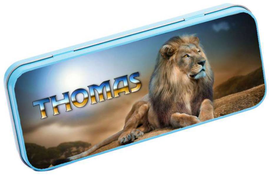 Personalised Any Name Animal Pencil Case Tin Children School Kids Stationary 4