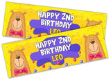 Personalised Birthday Banners Generic Design Children Kids Party Decoration 230