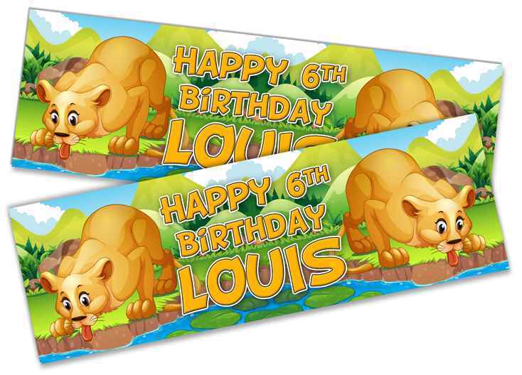 Personalised Birthday Banners Generic Design Children Kids Party Decoration 203