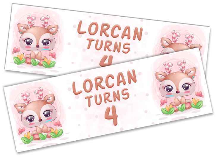 Personalised Birthday Banners Generic Design Children Kids Party Decoration 203