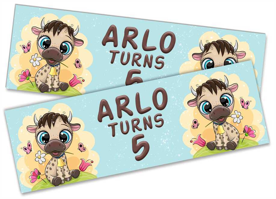 Personalised Birthday Banners Generic Design Children Kids Party Decoration 181